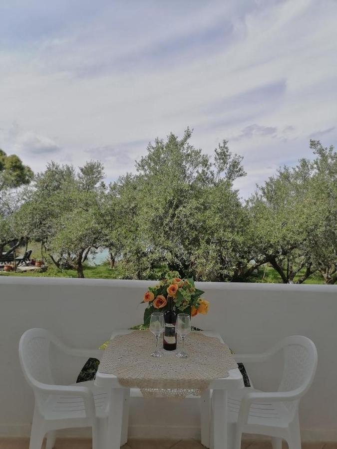 Villa Agia Aikaterini أمودي المظهر الخارجي الصورة