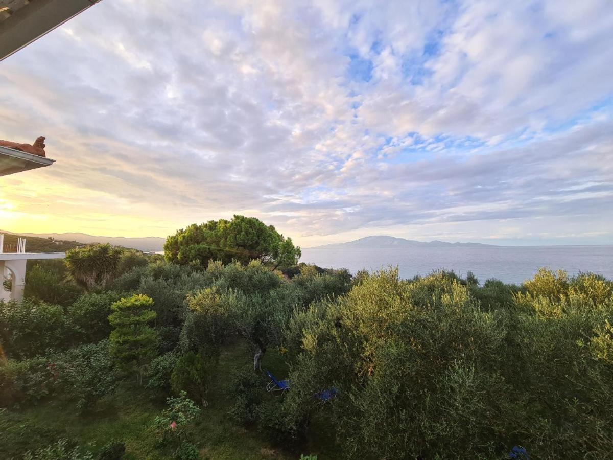 Villa Agia Aikaterini أمودي المظهر الخارجي الصورة