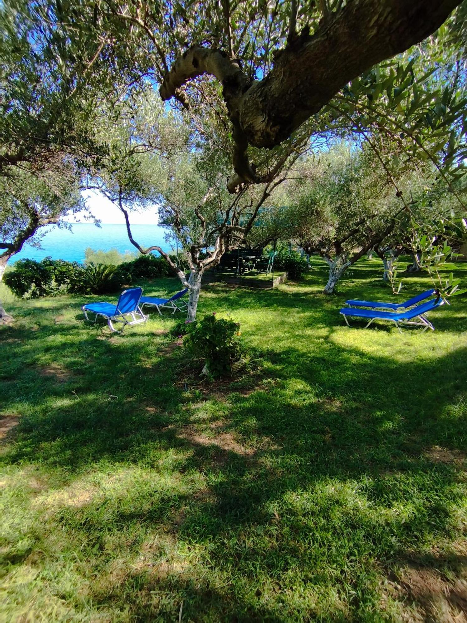 Villa Agia Aikaterini أمودي المظهر الخارجي الصورة