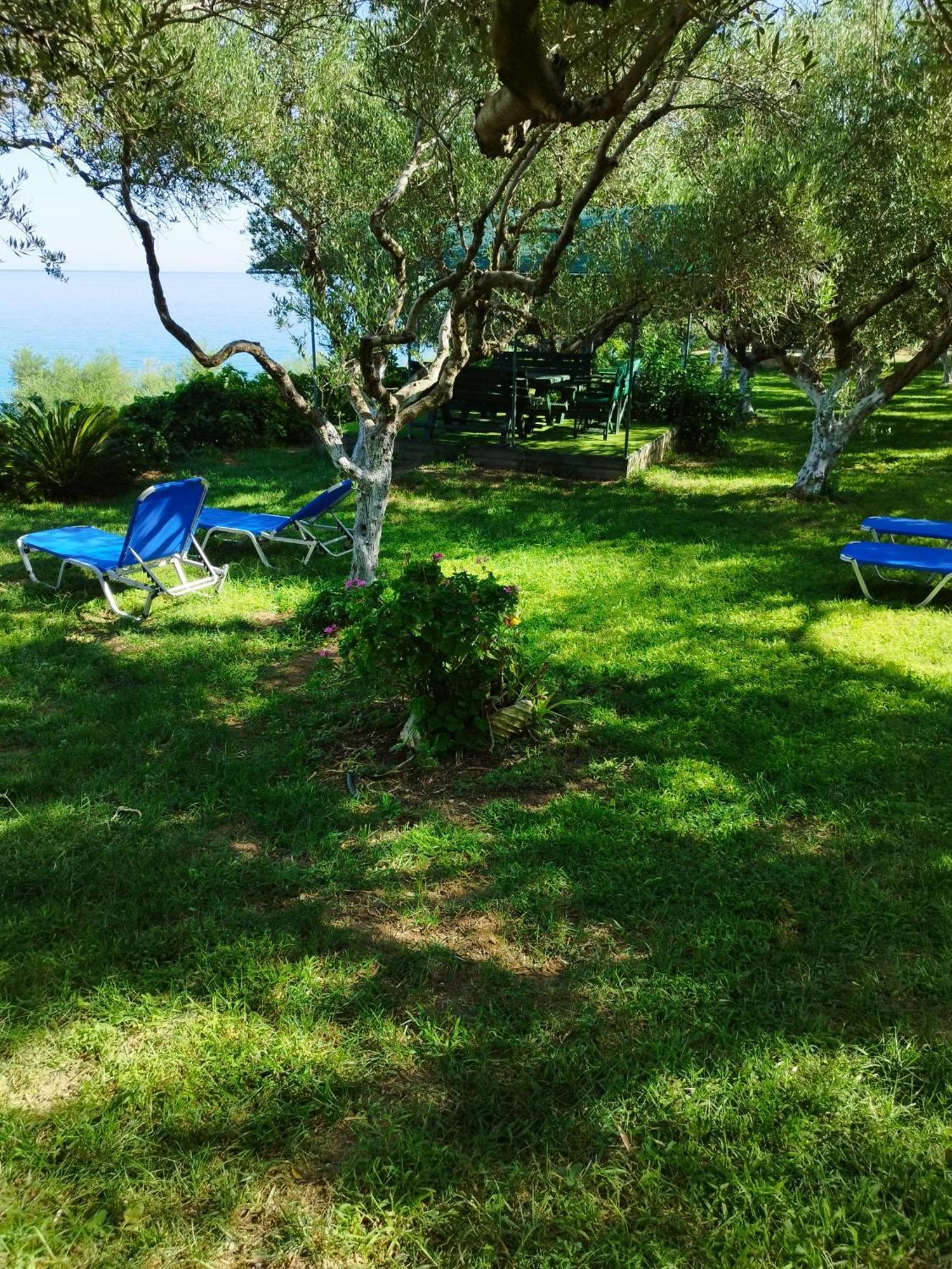 Villa Agia Aikaterini أمودي المظهر الخارجي الصورة