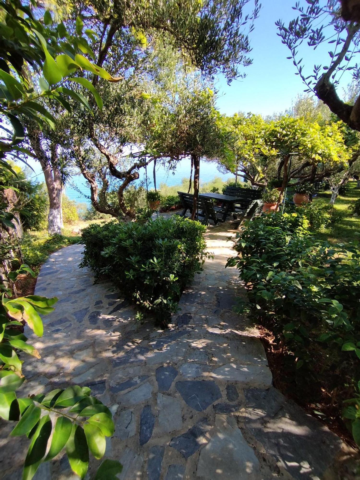 Villa Agia Aikaterini أمودي المظهر الخارجي الصورة