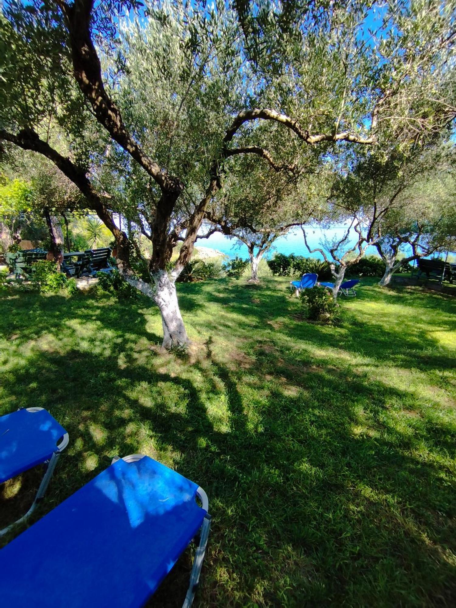 Villa Agia Aikaterini أمودي المظهر الخارجي الصورة