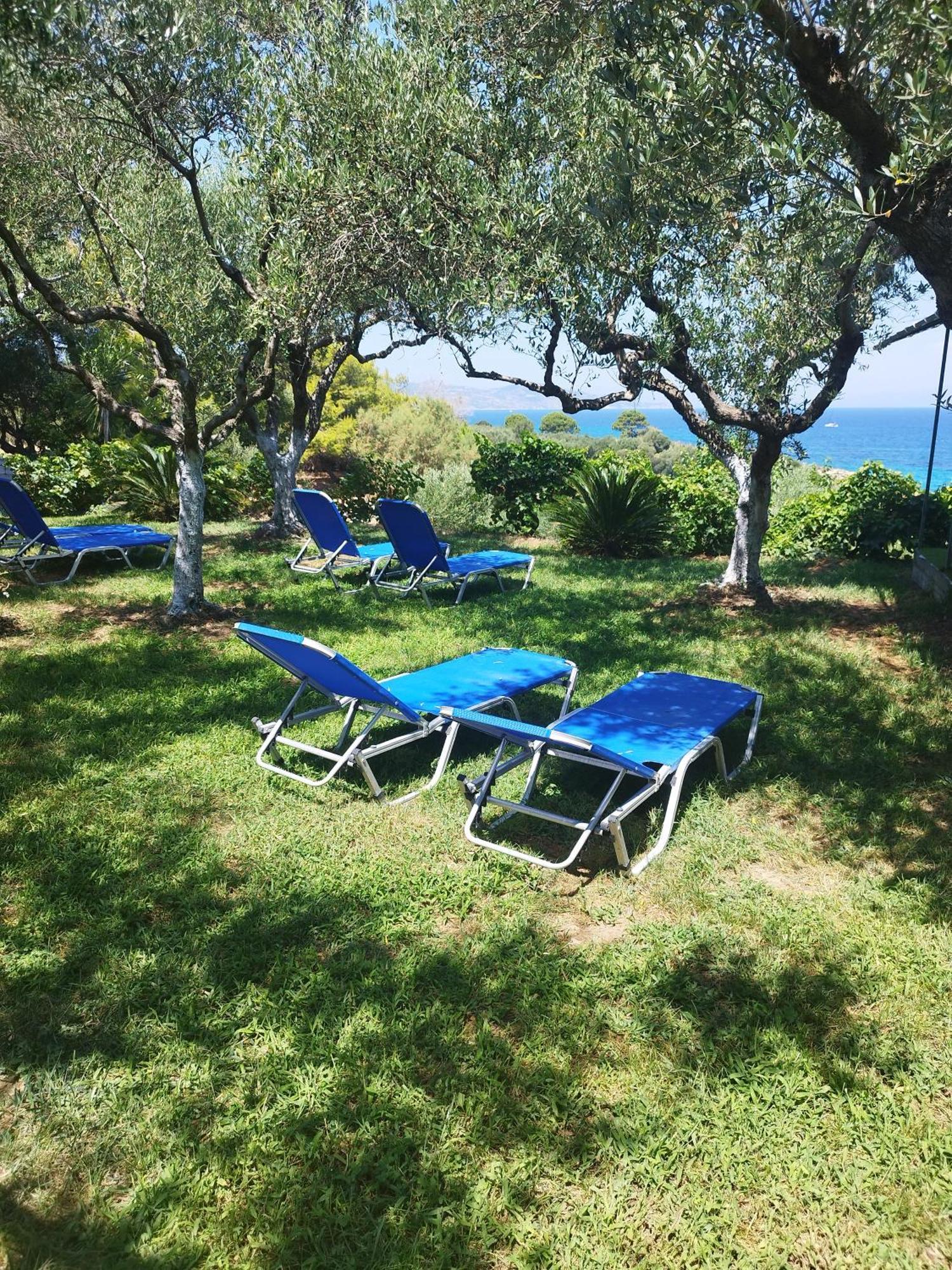 Villa Agia Aikaterini أمودي المظهر الخارجي الصورة