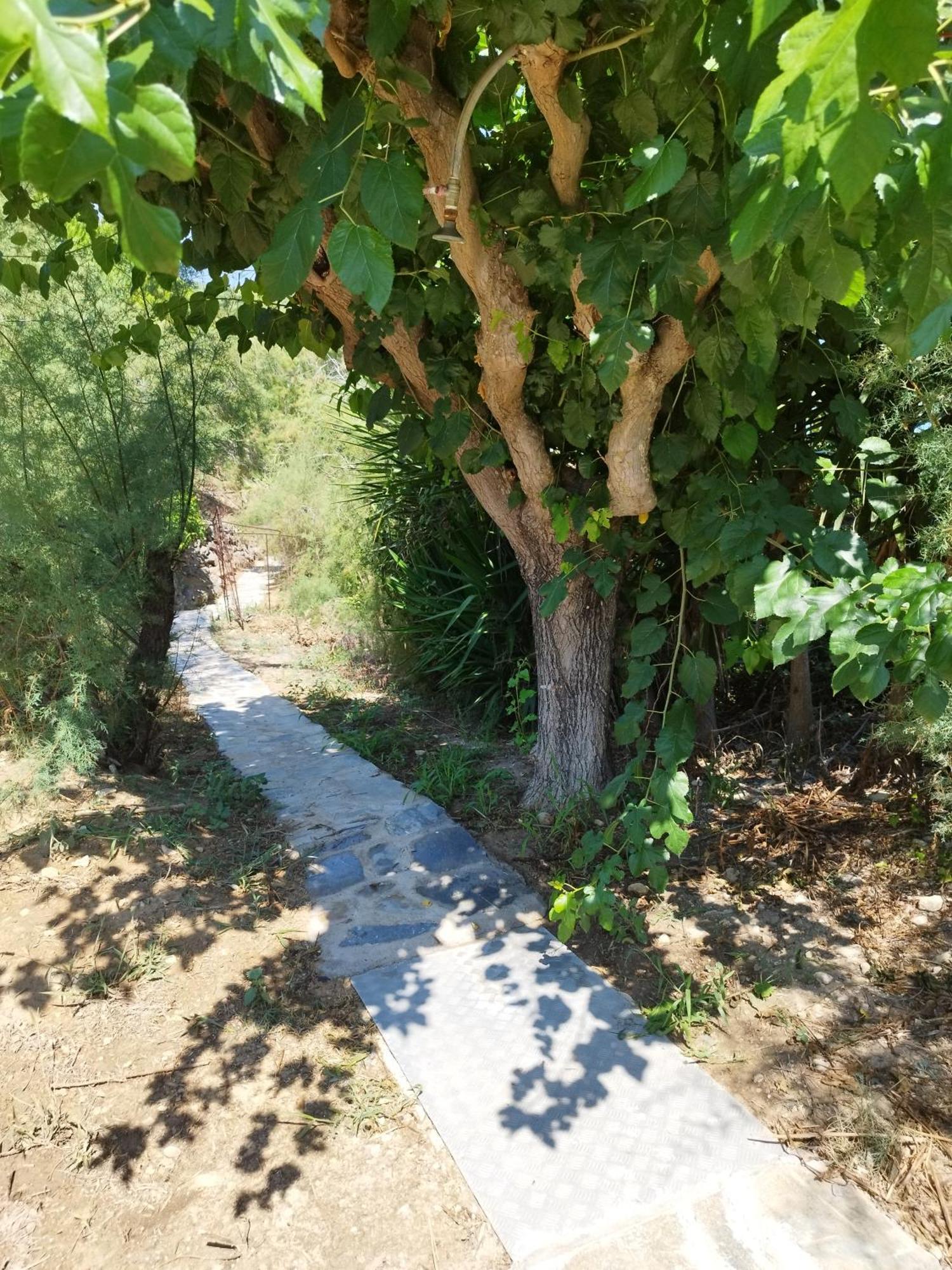 Villa Agia Aikaterini أمودي المظهر الخارجي الصورة