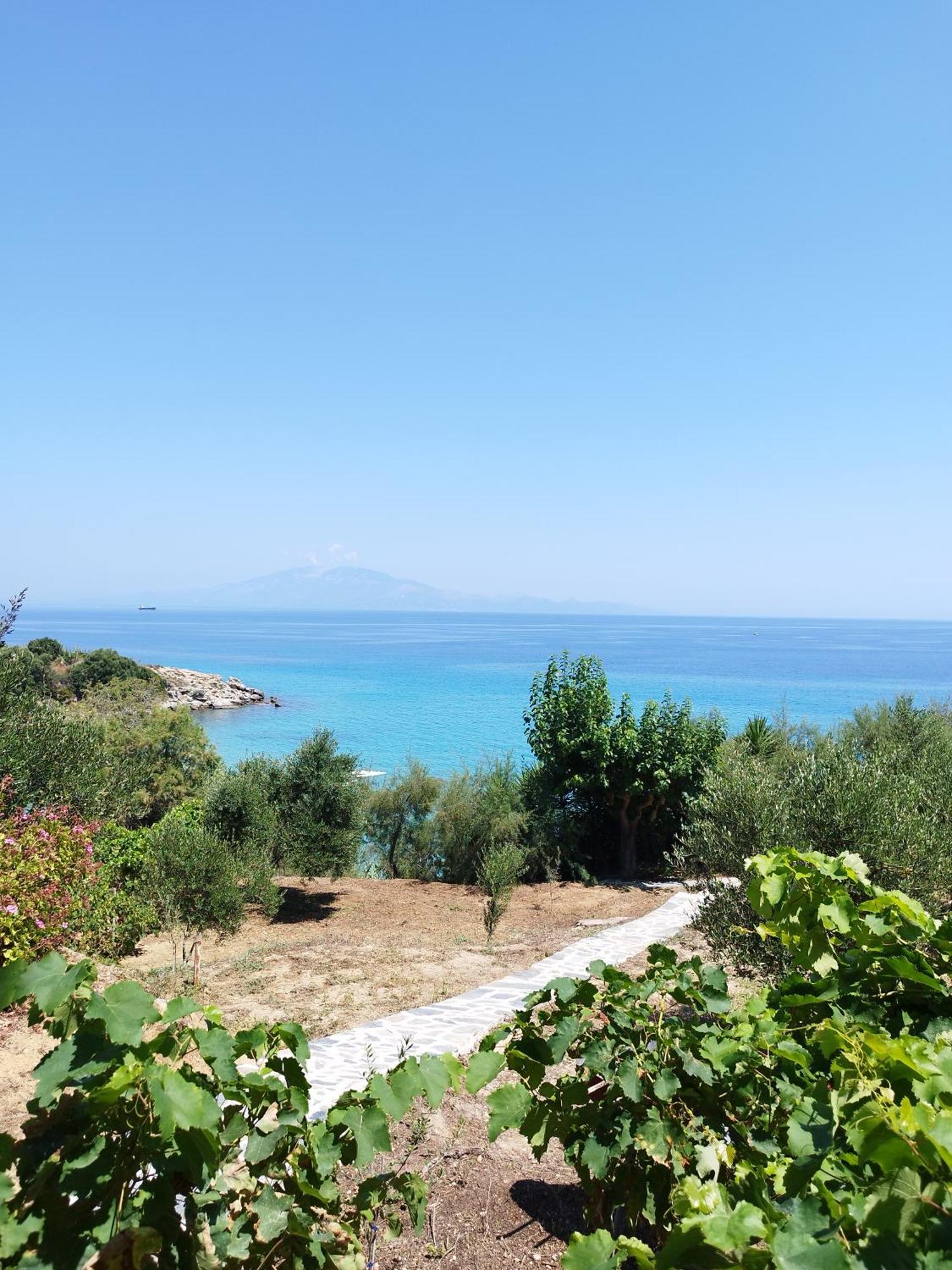Villa Agia Aikaterini أمودي المظهر الخارجي الصورة