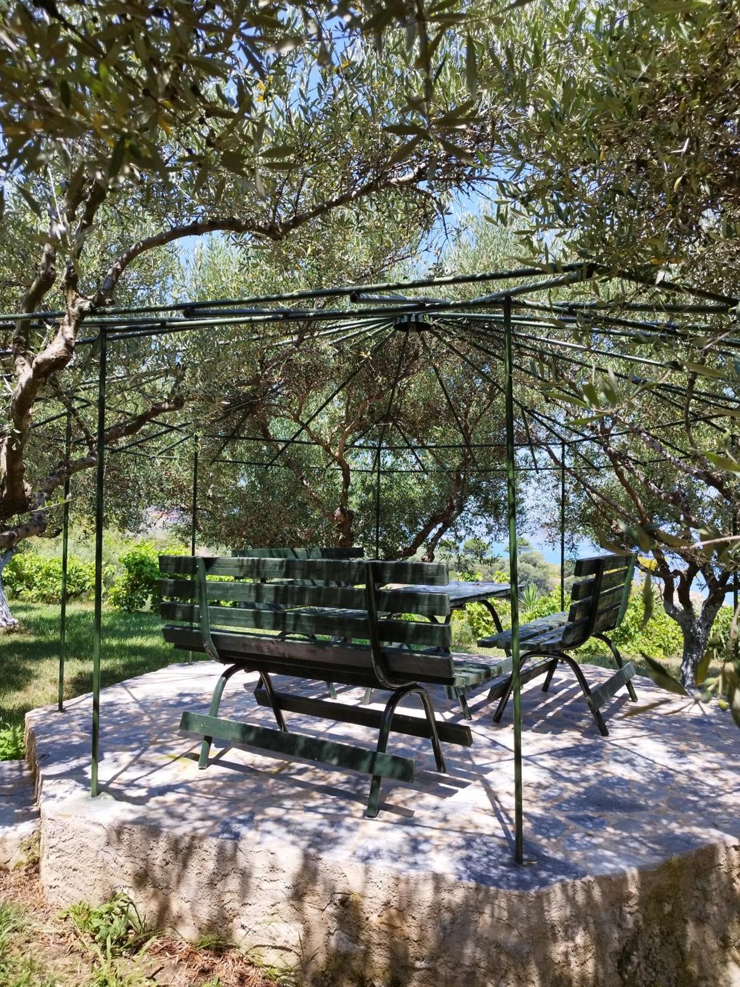 Villa Agia Aikaterini أمودي المظهر الخارجي الصورة