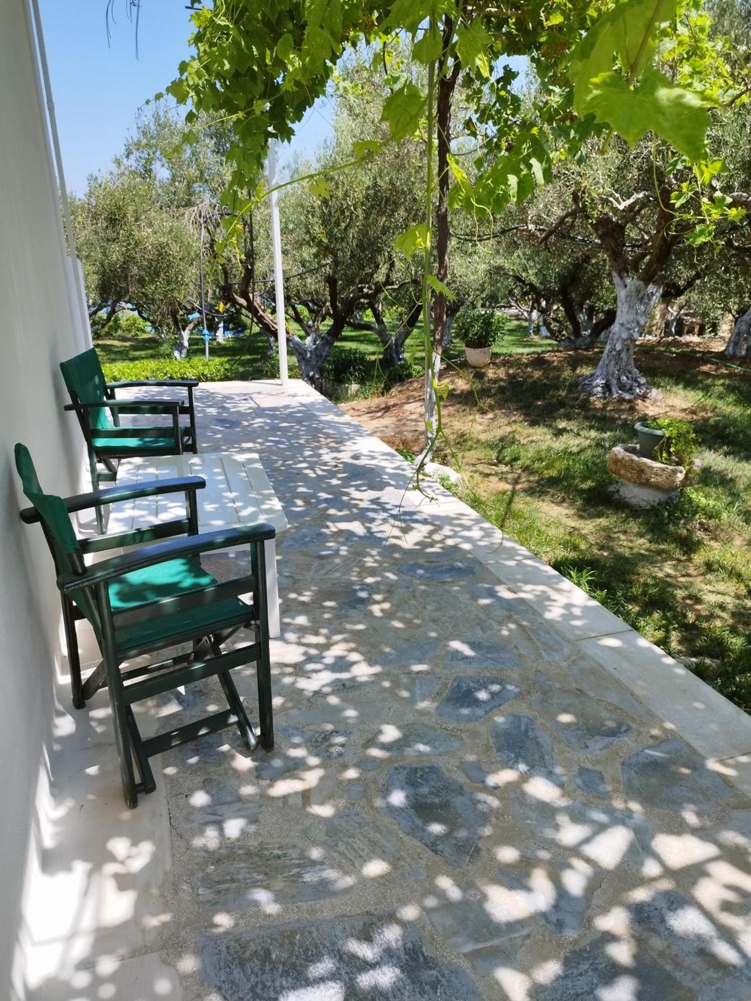 Villa Agia Aikaterini أمودي المظهر الخارجي الصورة