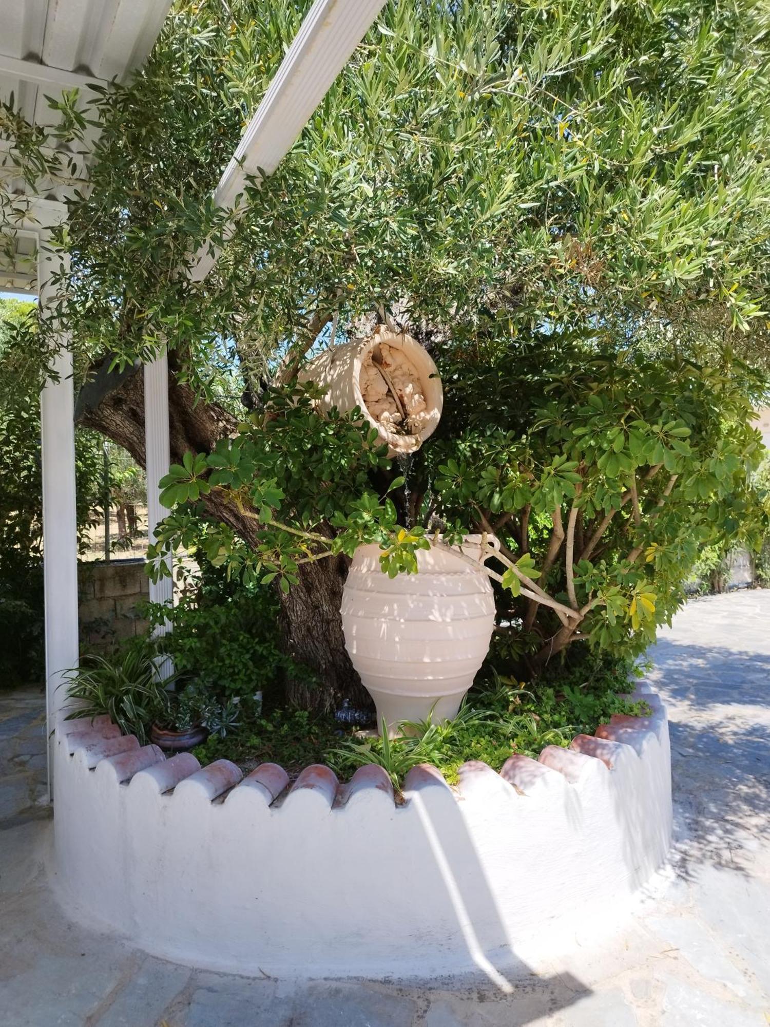Villa Agia Aikaterini أمودي المظهر الخارجي الصورة